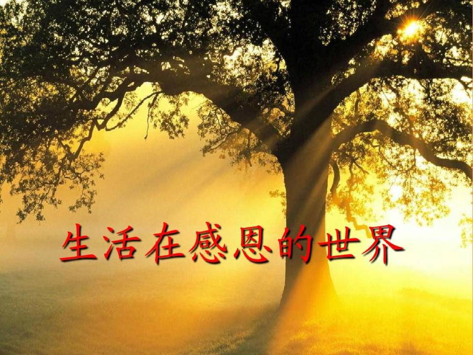 作家在线|张国贤:热爱生活要懂得感恩