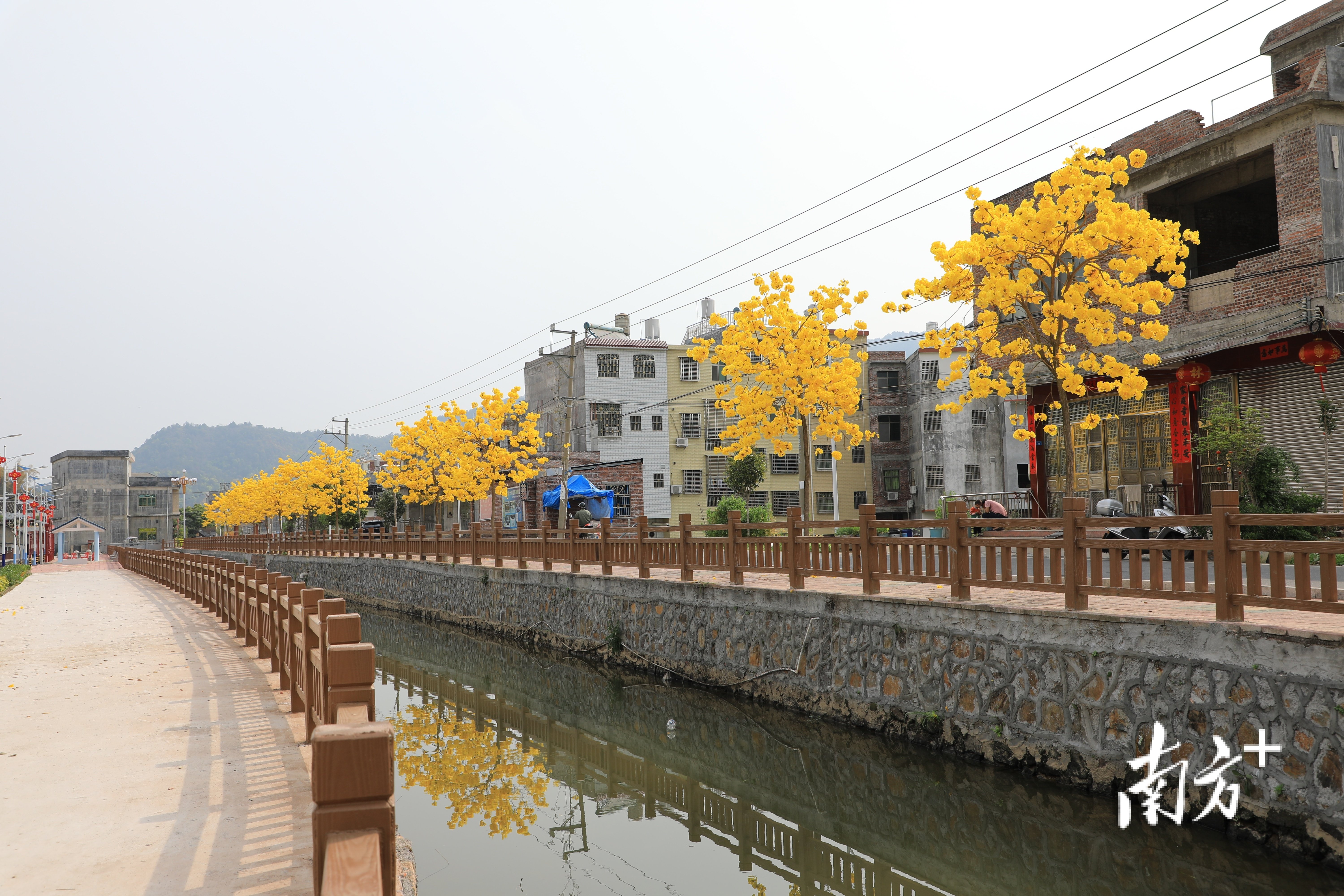 兴宁市黄陂镇:"三好"乡镇的高质量发展之路