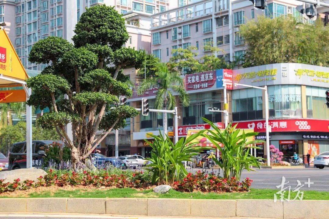 万江渠化岛齐"扮靓",城市颜值再提升