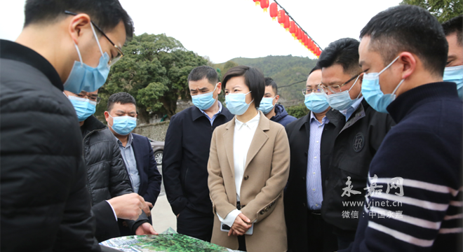 永嘉县委书记黄慧到岩头,鹤盛专题调研全域旅游发展