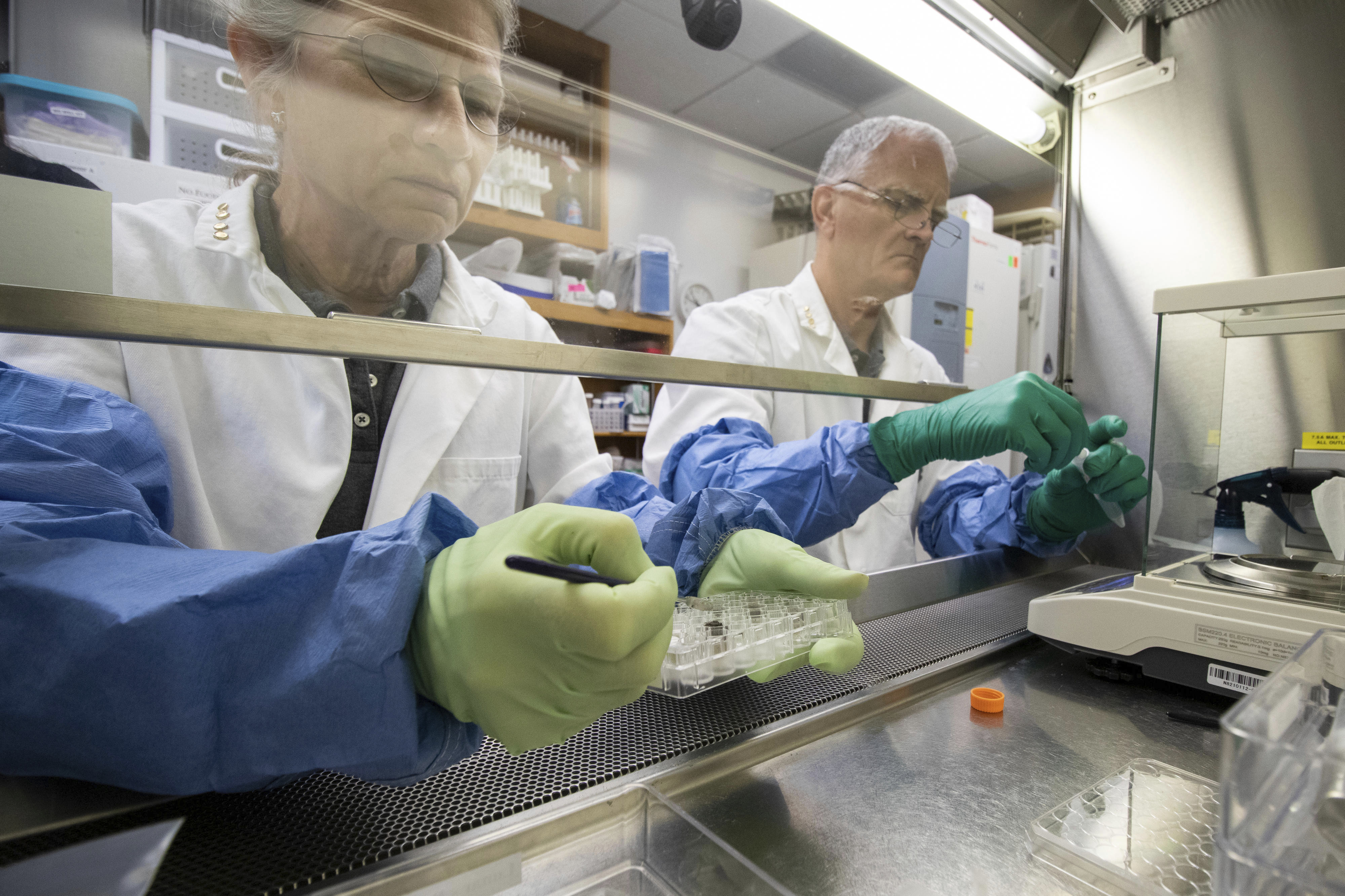 美国科学家在月壤中种出植物