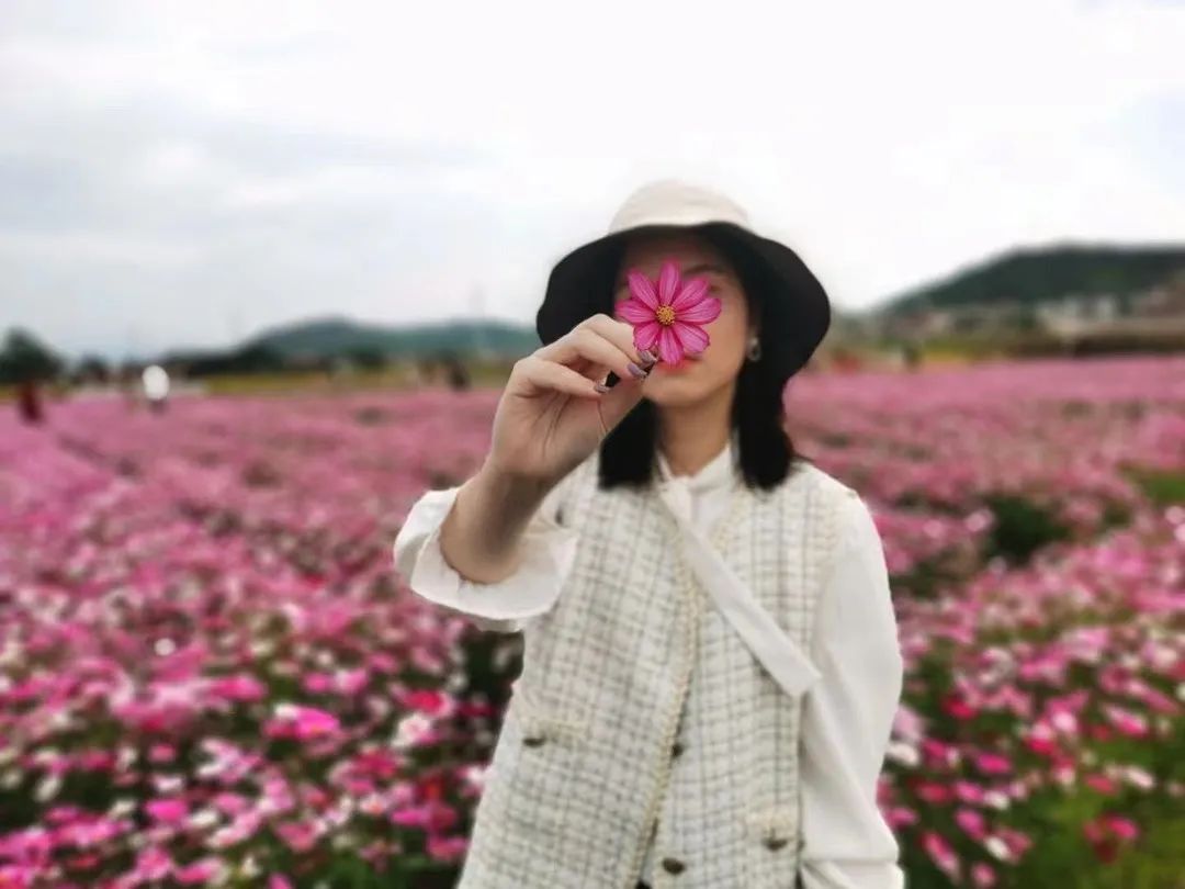 河源大湖寨花海图片