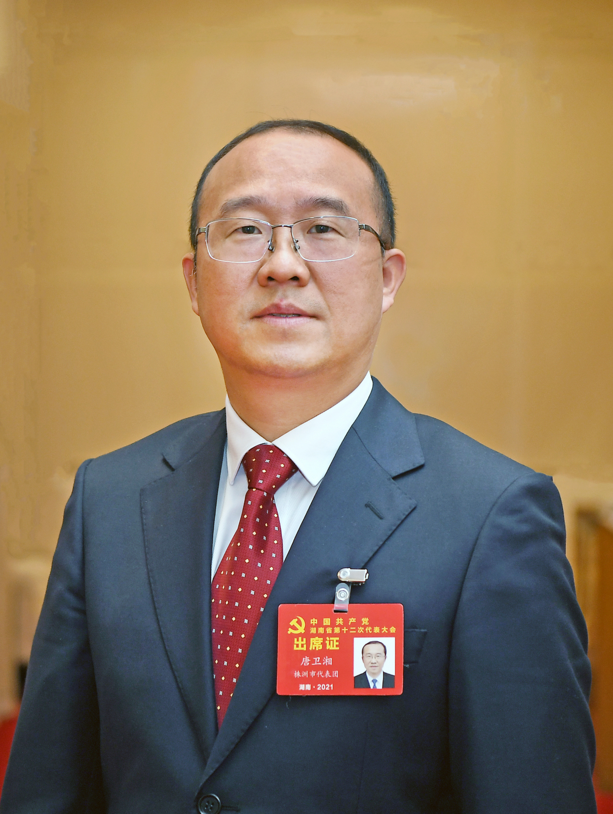 党代会同期声|省党代表唐卫湘建议:集中力量打造中小航空发动机及航空