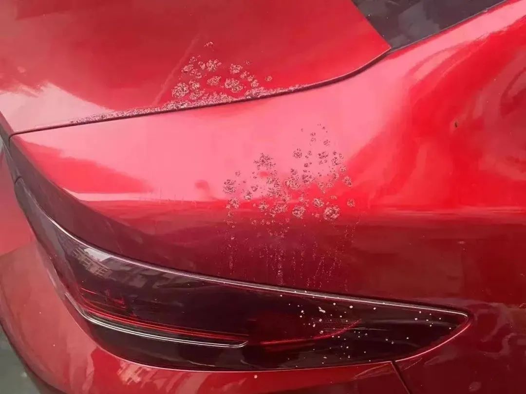 柳州一男子为泄愤用脱漆剂损毁他人车漆,民警次日将其抓获