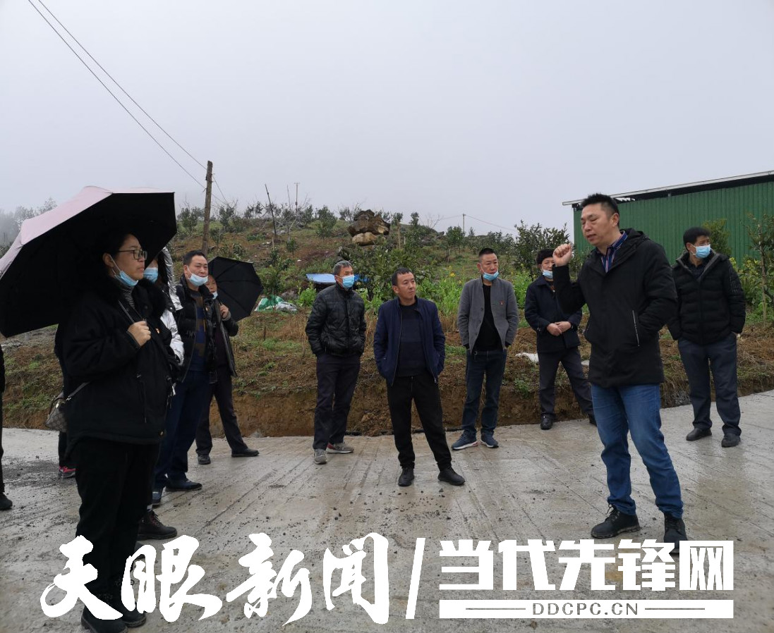 「新春走基层」道真自治县尹珍街道:产业观摩寻经验 凝心聚力谋振兴