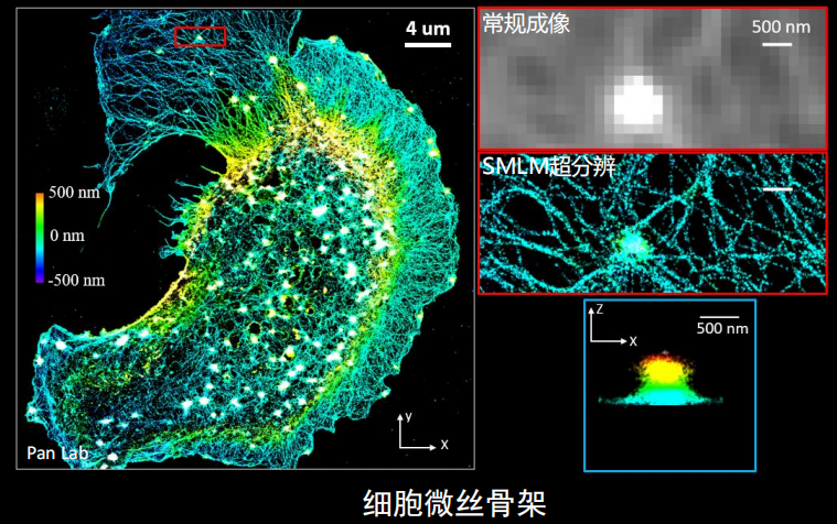 单分子定位超分辨光学显微镜