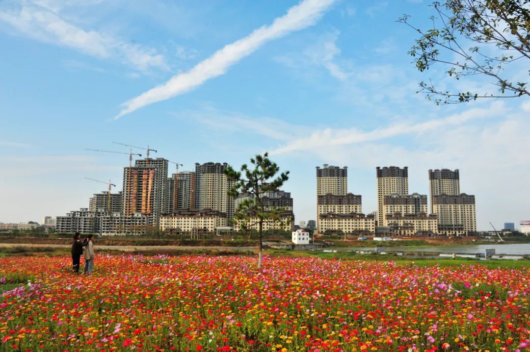 不可思议!已是深秋,月儿湾公园却如此多彩,恰似夏日还未走远