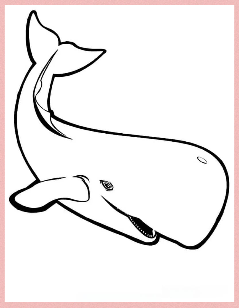 多款鲸鱼卡通儿童涂色简笔画,探索海底世界的色彩!