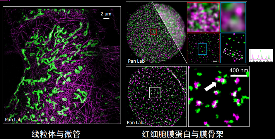 单分子定位超分辨光学显微镜