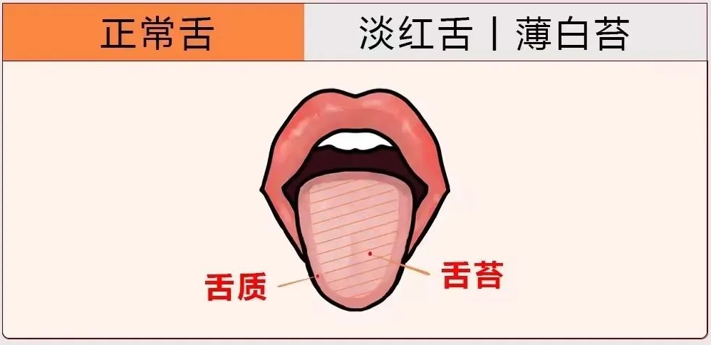 学会这8张舌诊图，在家就能自测，随时掌握身体变化！
