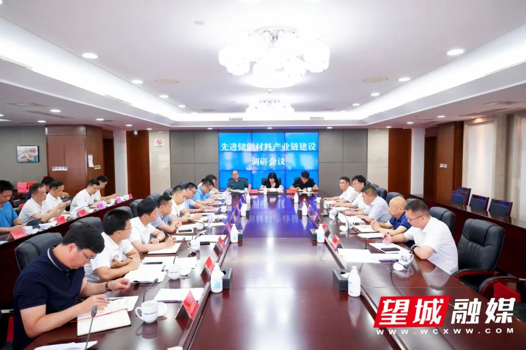 大兴调查研究丨秦国良:坚定信心,精准发力,强化保障 加快推动望城先进