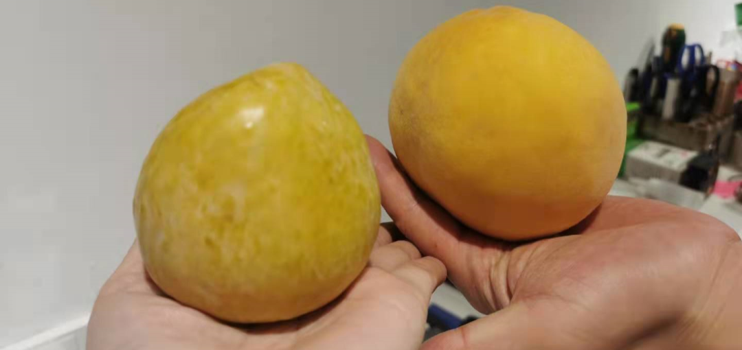 炎陵黄金奈李礼盒装,买2件立减20元!