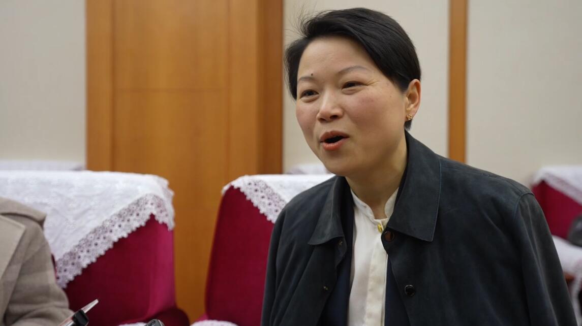 奋进的春天·代表委员说|邵丹薇:未来新能源充电桩将达到充电8分钟