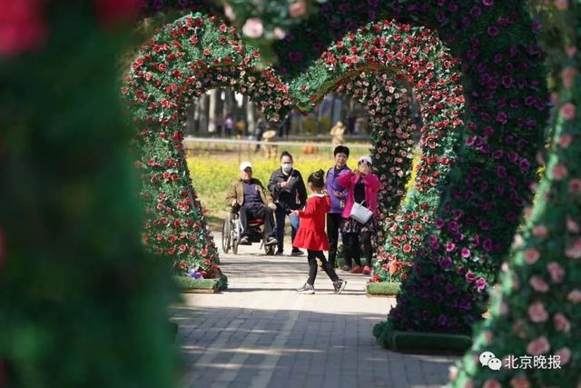 两大花海,七大展区,北京这些"花花世界"你去了没?