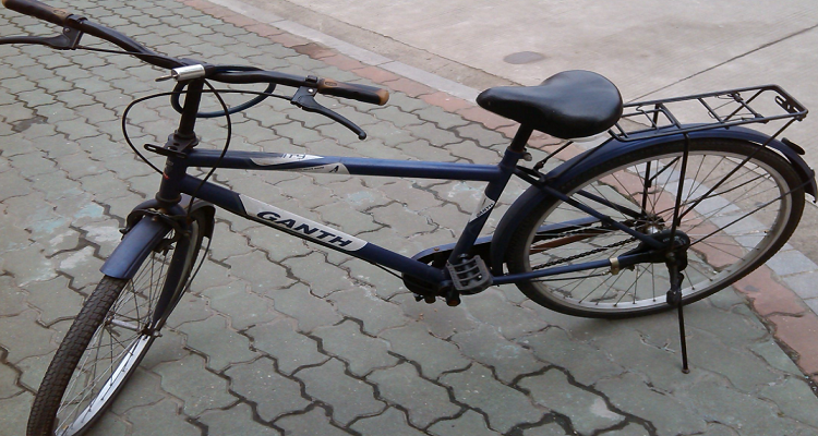 gammax自行车是什么牌子