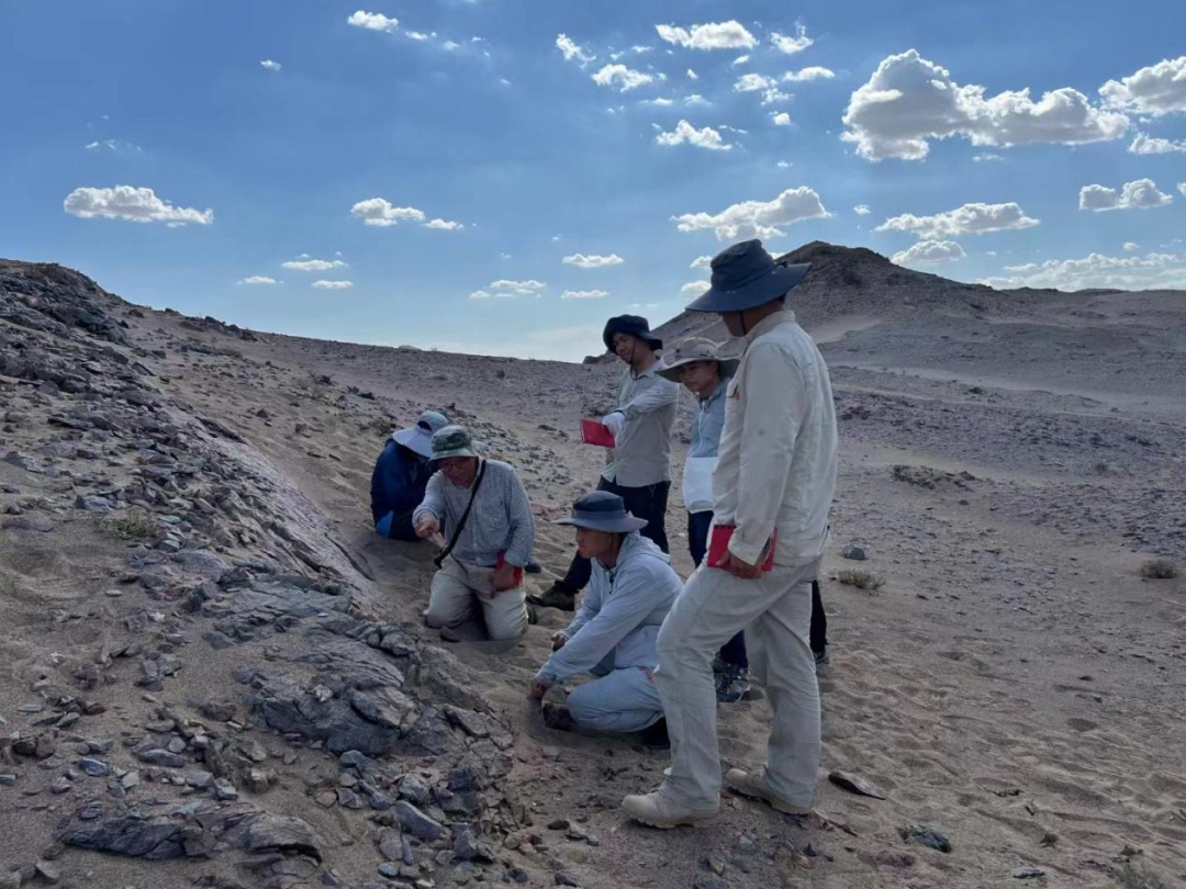 深地实验室中亚造山带构造解析团队在野外考察北山—阿拉善侏罗纪大