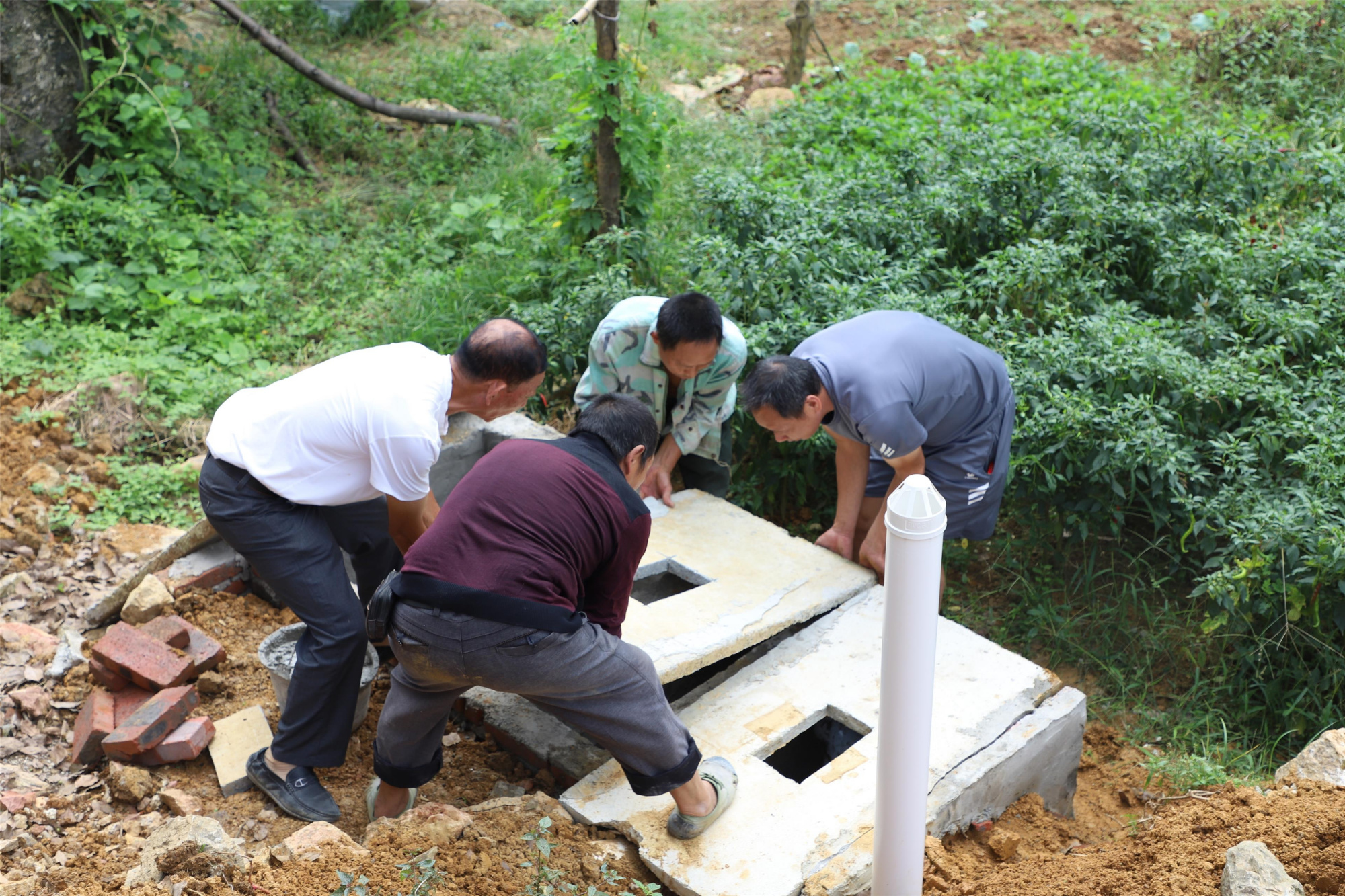 "小厕所"改出"大民生" 沙坪坝区今年将新建改造农村厕所2276户