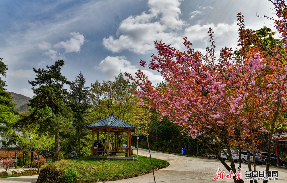 花红柳绿斗芳菲 吐绿滴翠竞秀色 麦积山植物园春光无限