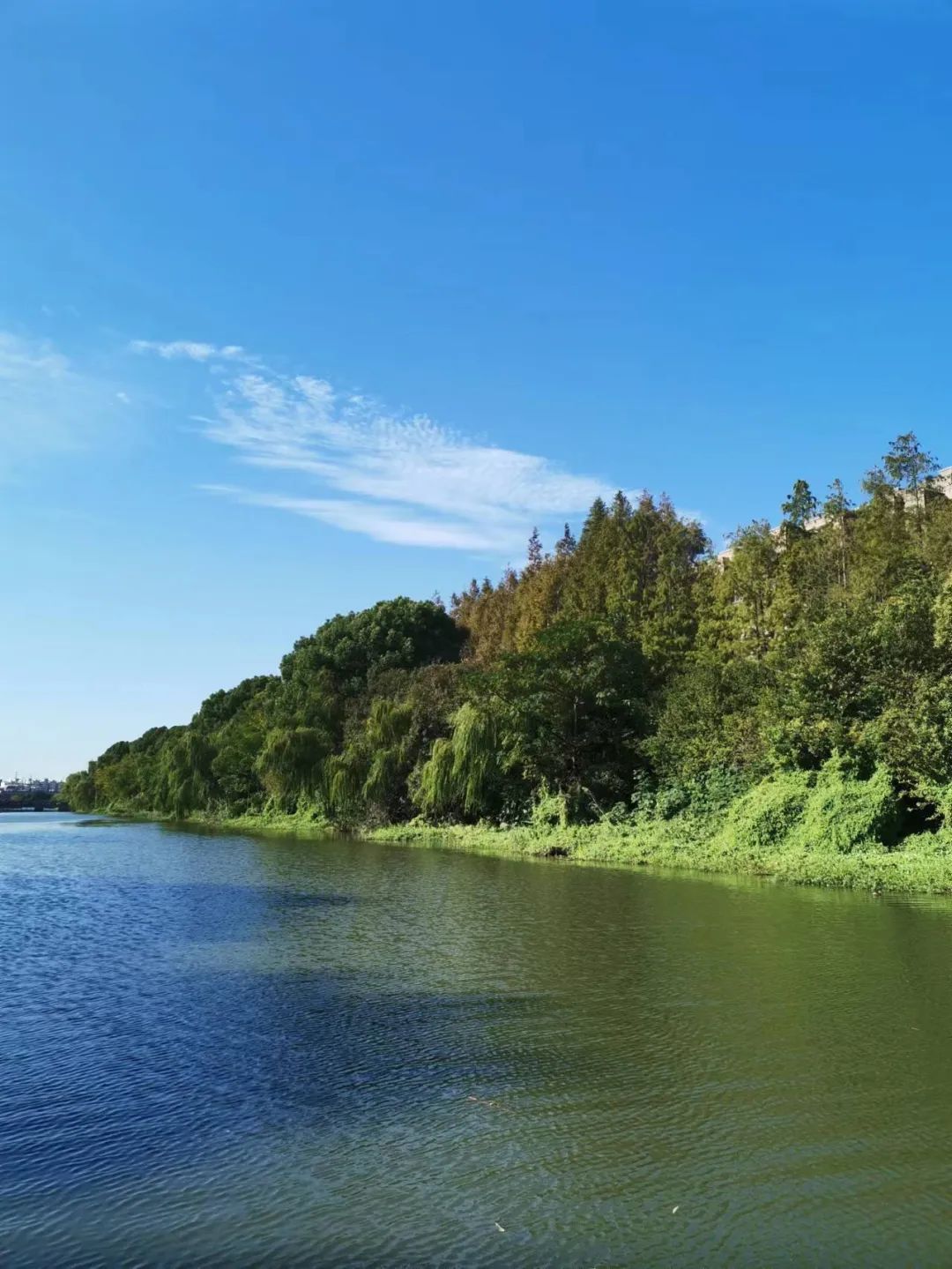 雲賞河湖丨看水岸漣漪,品水韻楊浦——緯六河