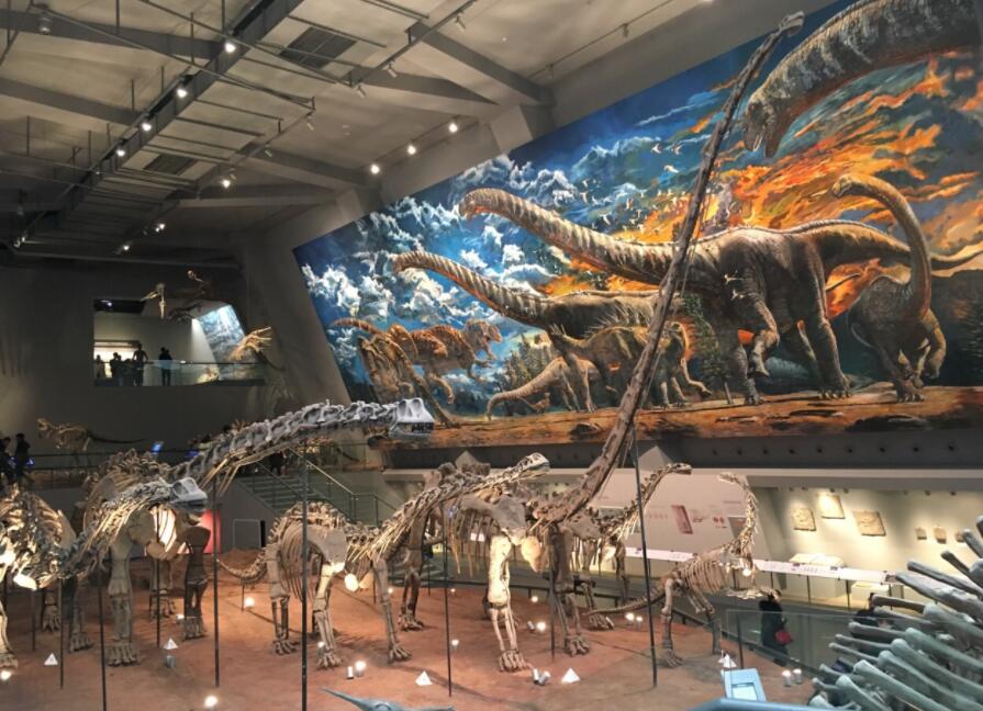 推荐7个北碚小众景点打卡地-在夏天来一场可以立即出发的旅行!