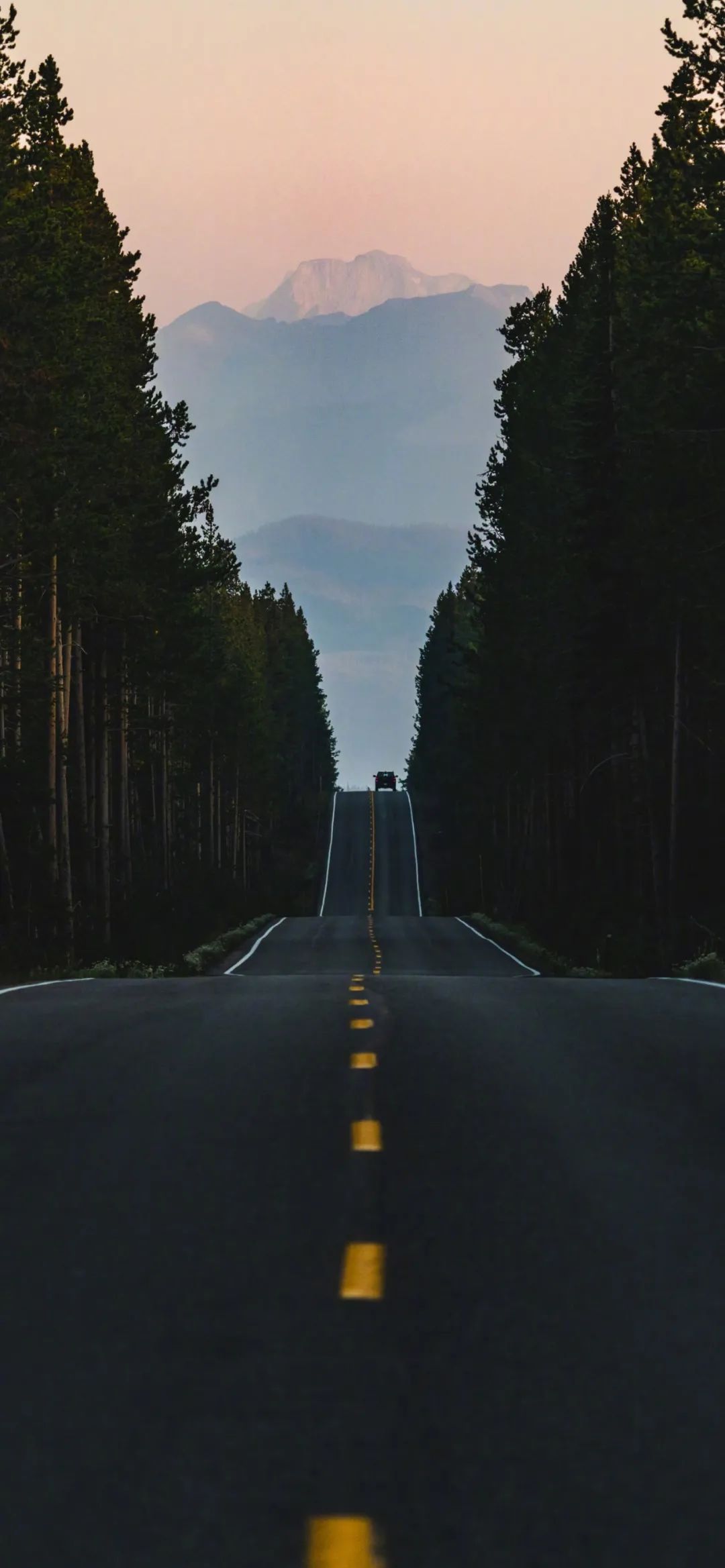 2121手机壁纸:九月,你好