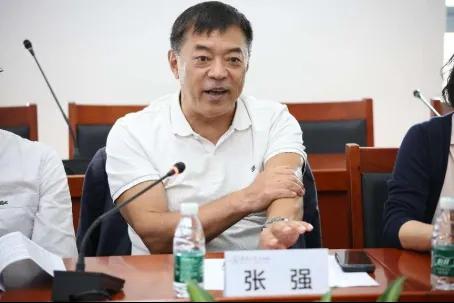 张强接受审查调查