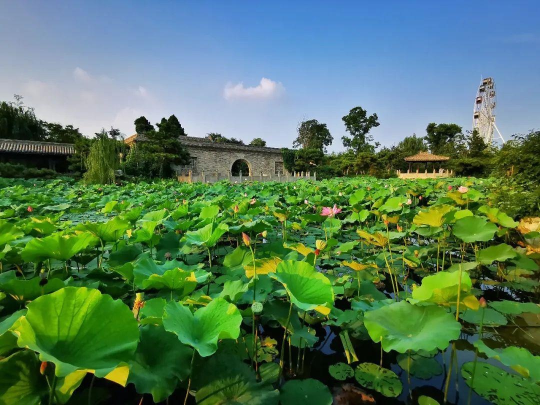 皖北人遊皖北|阜陽這兩個景區恢復開放!