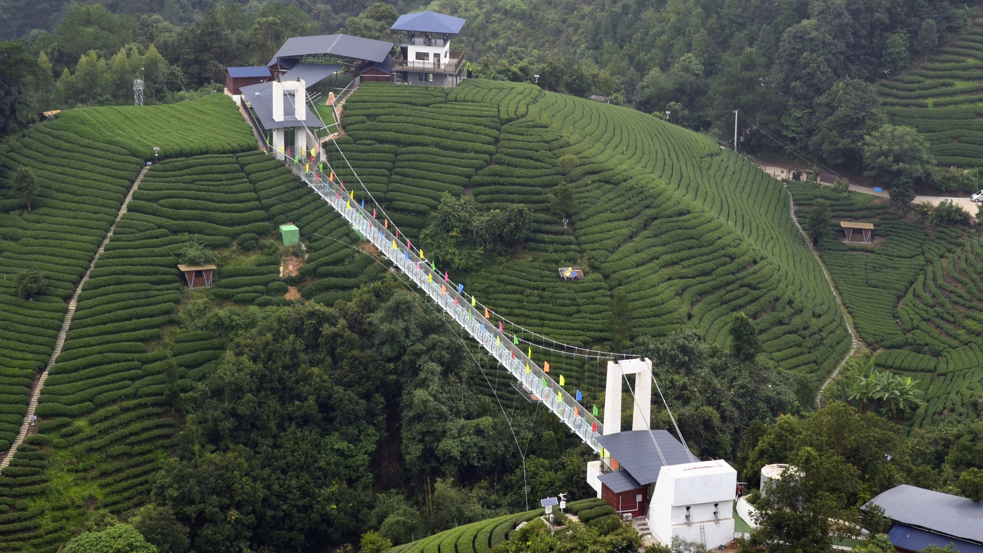 昭平县南山茶海景区简介