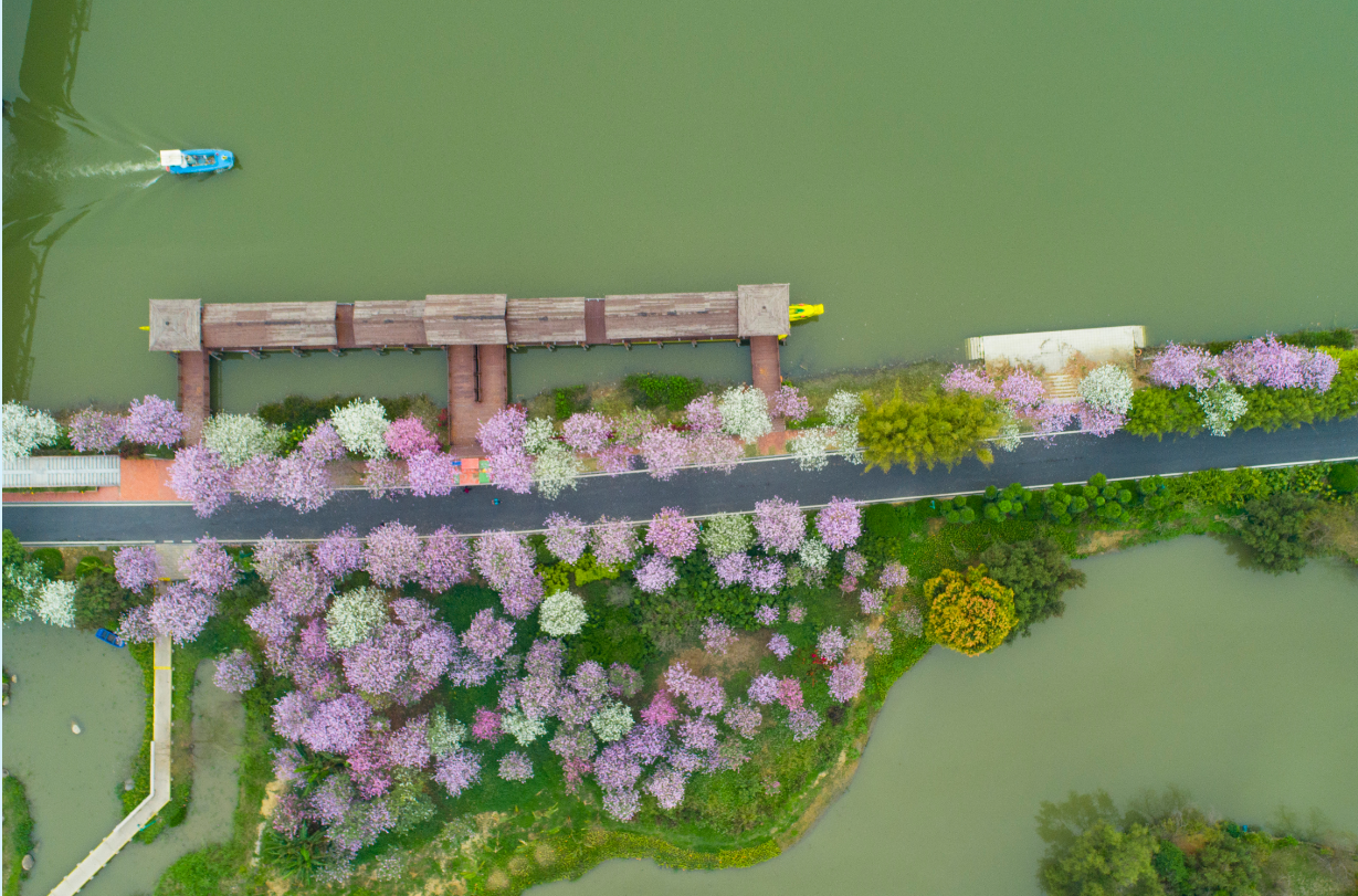 广州海珠湿地公园景点图片