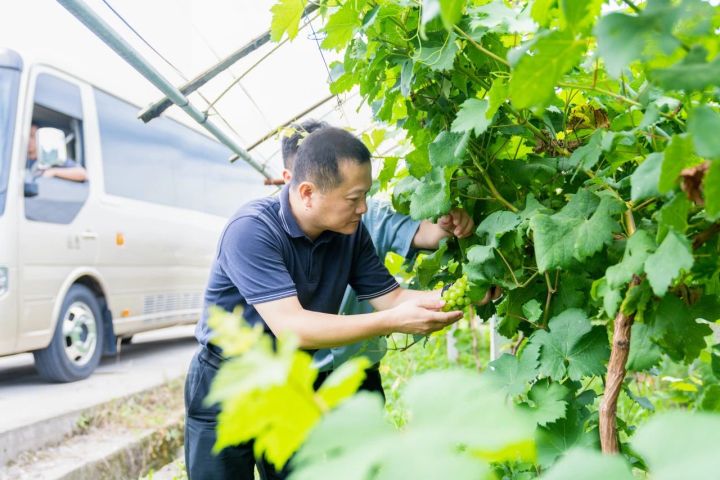 当好山区县发展的创变者 记缙云县委书记王正飞
