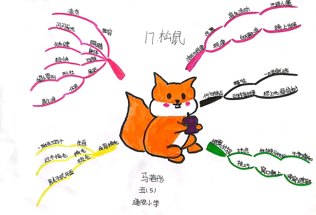 石家庄市藁城区通安小学2019