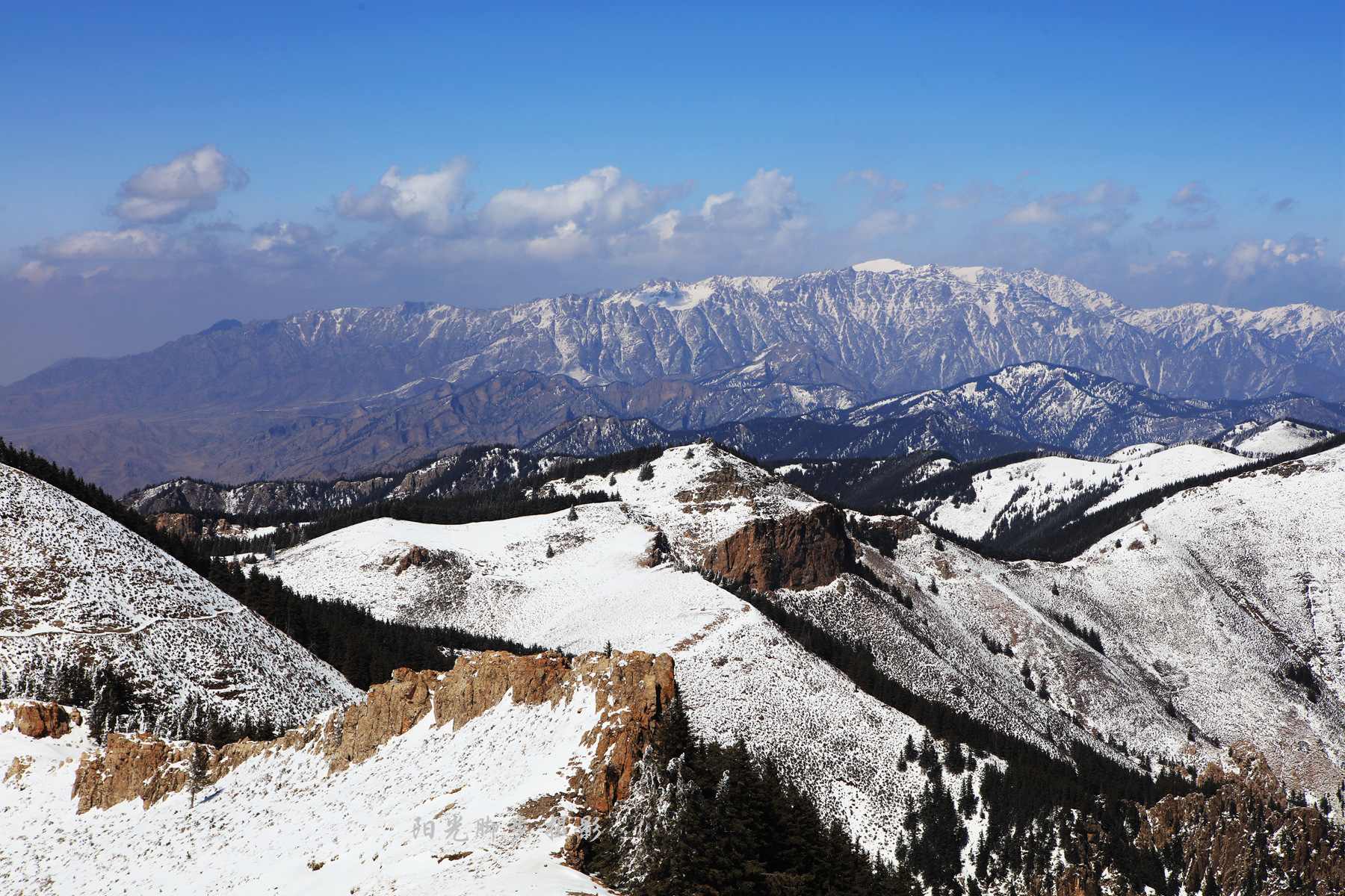 賀蘭晴雪——賀蘭山雪松與巴峰