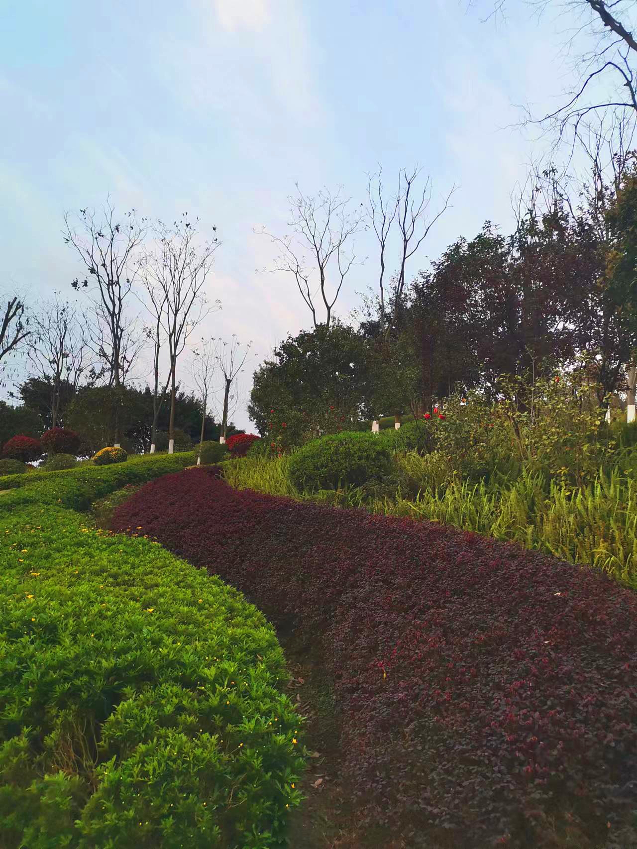 垫江县城市旅游-打卡凤山公园