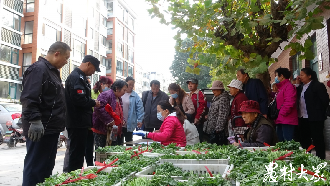 齐鲁最美退役军人王俊仁的共富经:"先治坡,后置窝" 发展