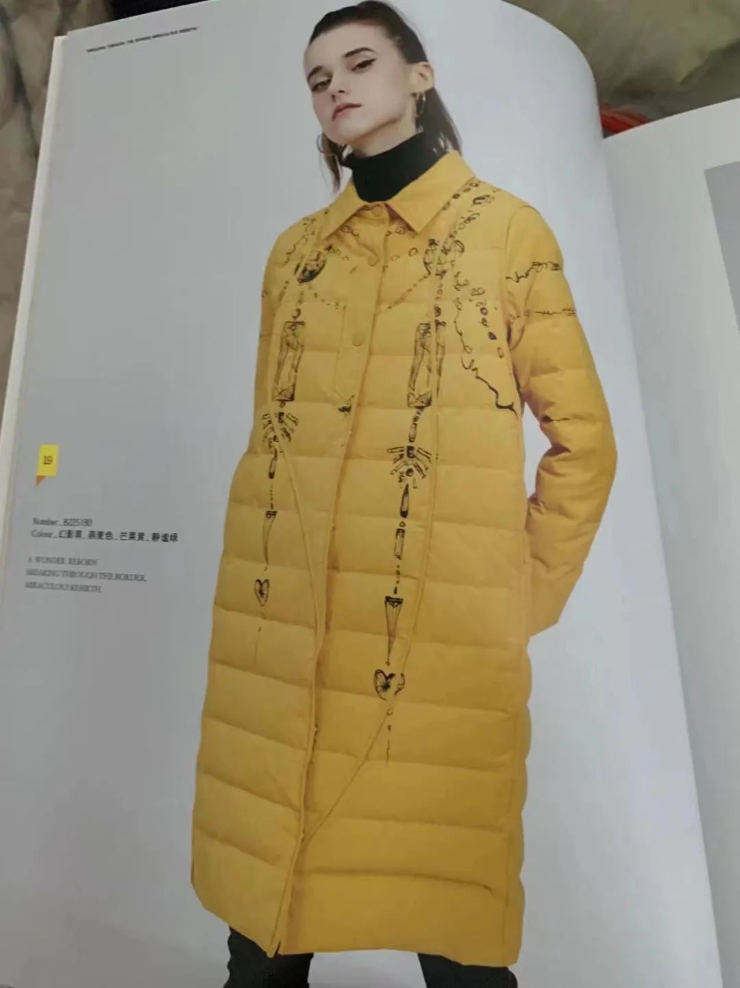 十大女装品牌(埃文)鹅绒羽绒服22年冬