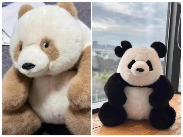 大熊猫七仔升级为鸿七公了