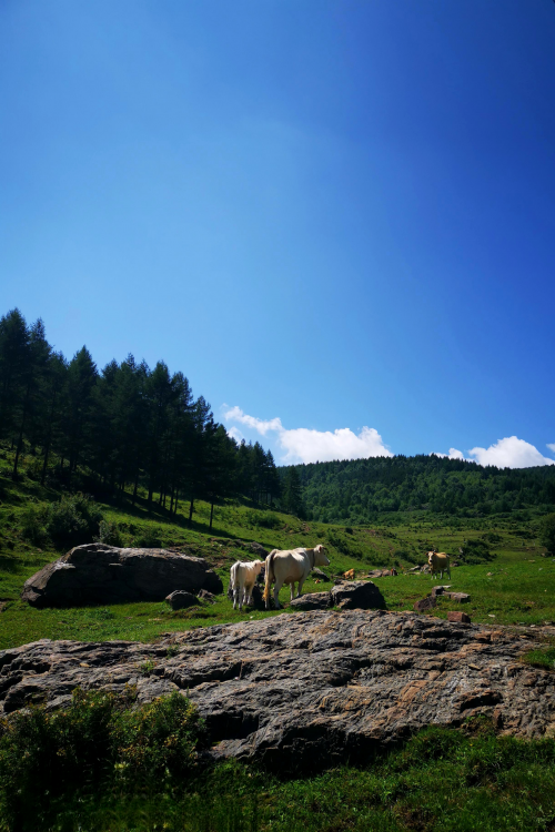 离石有什么旅游景点图片