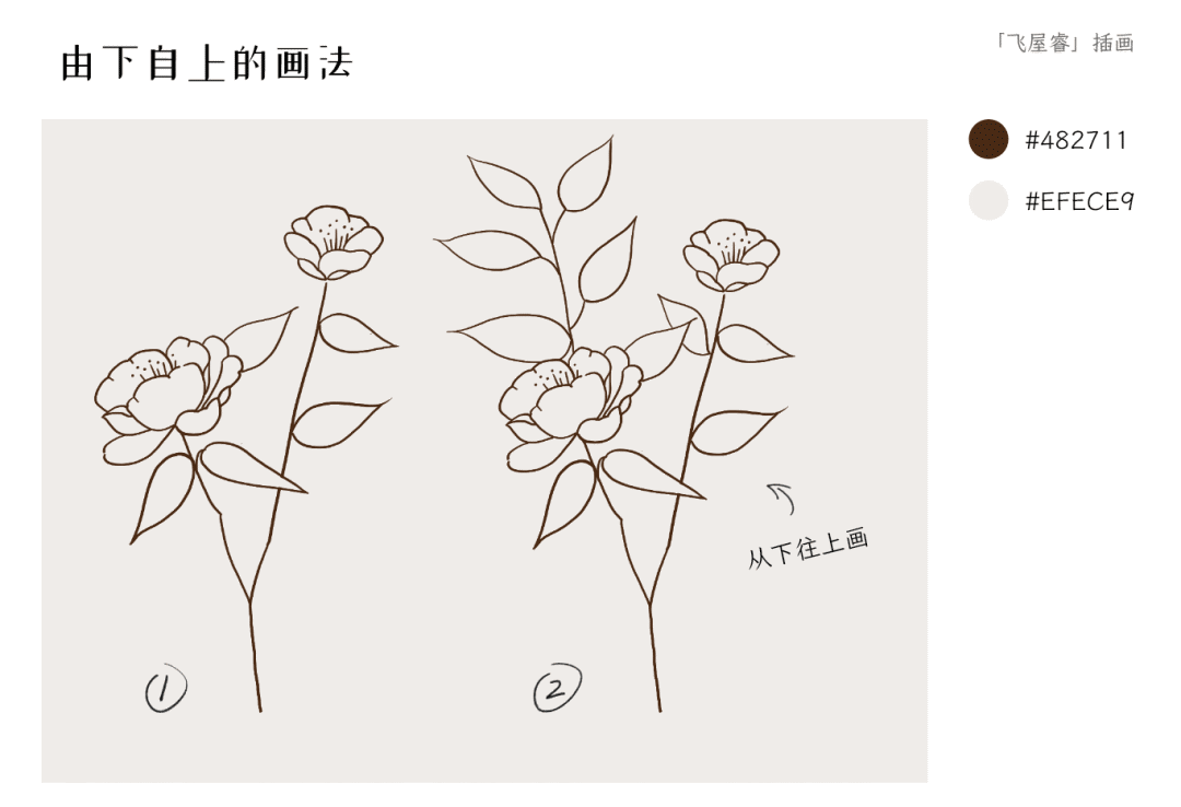 插画线稿很难画来学习优雅抽象色块线描观花植物一