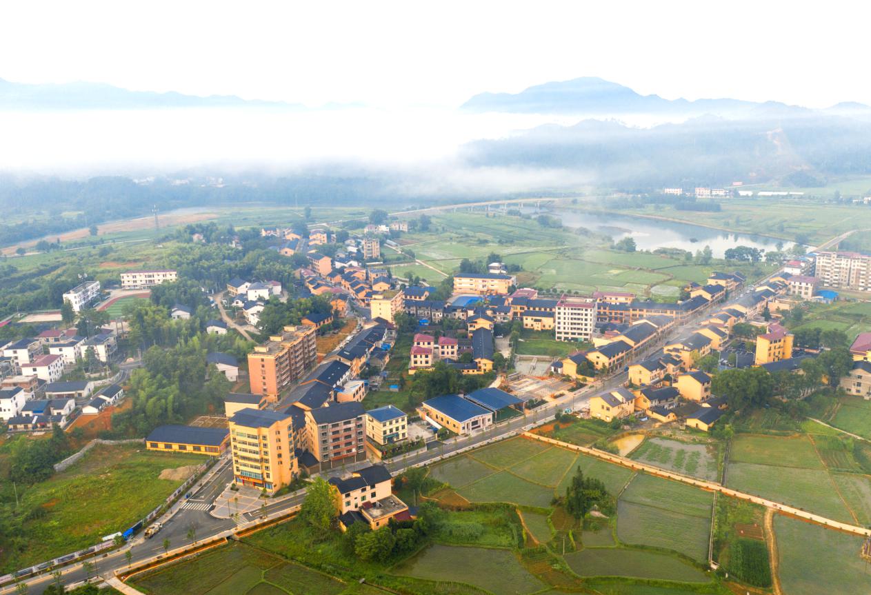 修水综合网站建设哪家好_(修水贴吧修水网络上的家园)