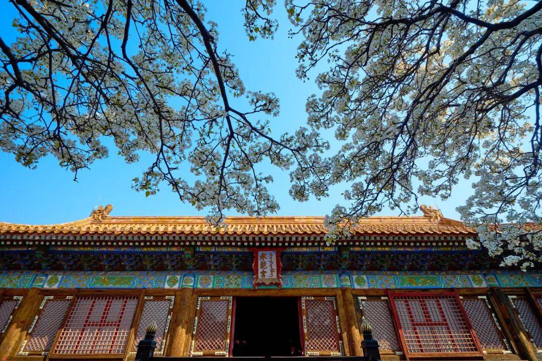 道光帝琳贵妃,降位后东山再起,成为后宫之副,后代出了两位皇帝