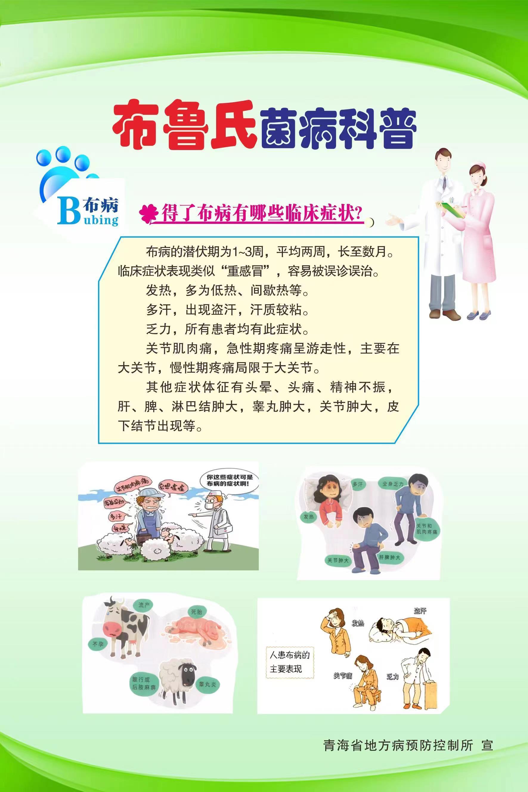 布病是什么病 baijiahao.baidu.com