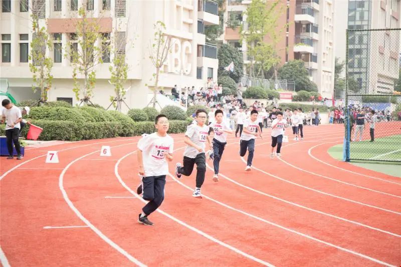 郑西一中小学图片