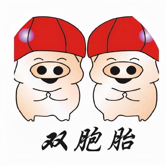 恭喜!双胞胎集团荣获"2021中国卓越增效饲料企业"称号