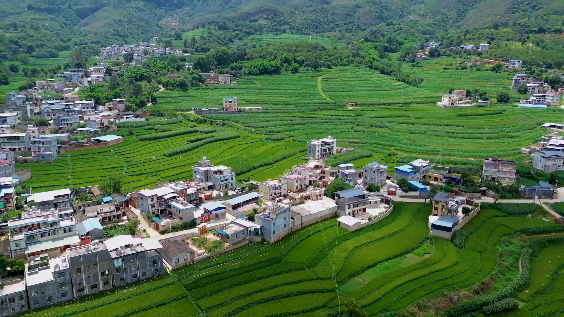 新华全媒 |东西部协作助力云南禄劝中药材产业发展