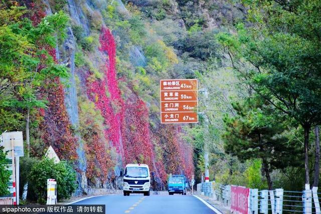 自駕109國道北京段,賞沿途油畫般的秋日美景