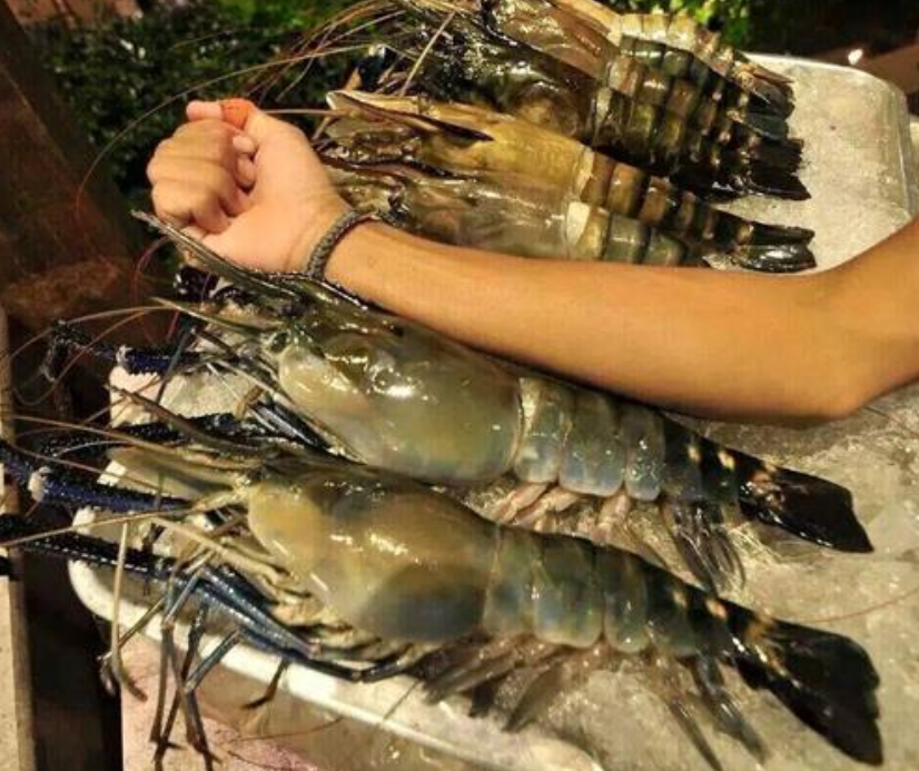 见啥吃啥?越南"大龙虾"泛滥,这一次中国吃货却怂了