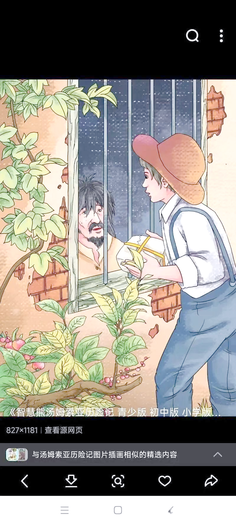 汤姆索亚的冒险:海盗梦与宝藏的奇幻旅程