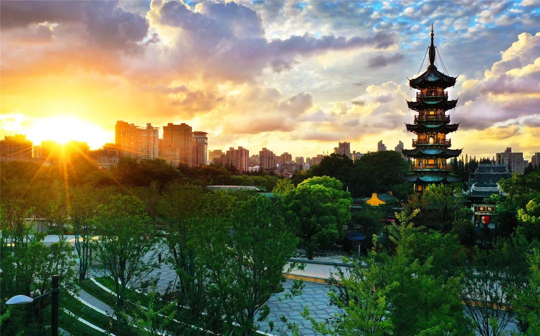 买年花来这儿抄作业准没错