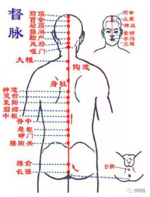 督脉28个穴位记忆小故事