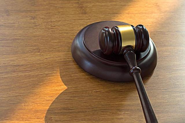 大案纪实:辽宁省昌图县特大杀人抢劫轮奸案